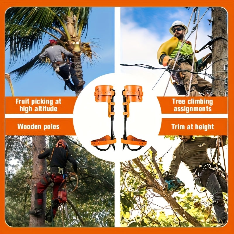 Tree Climbing Assistance Tool