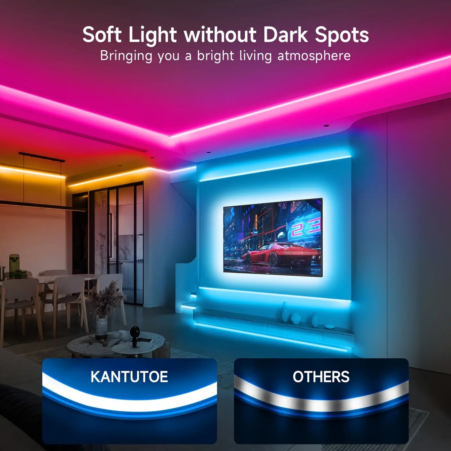 LED Neon Rope Lights