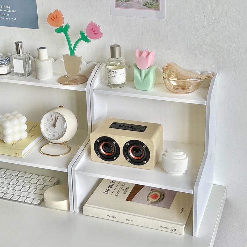 Double Layer Storage Rack, Desktop Organizer Shelf