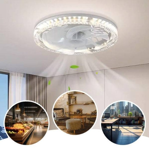 2-in-1 Mute Adjustable Fan Light with Remote Control