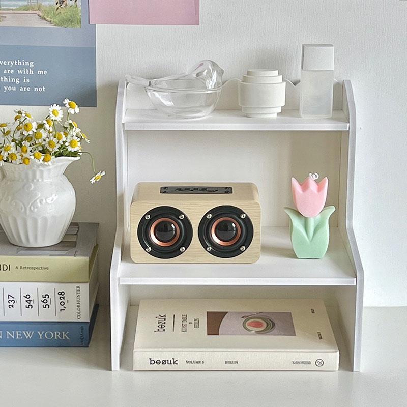 Double Layer Storage Rack, Desktop Organizer Shelf