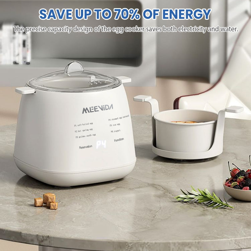 Multifunctional automatic egg boiler