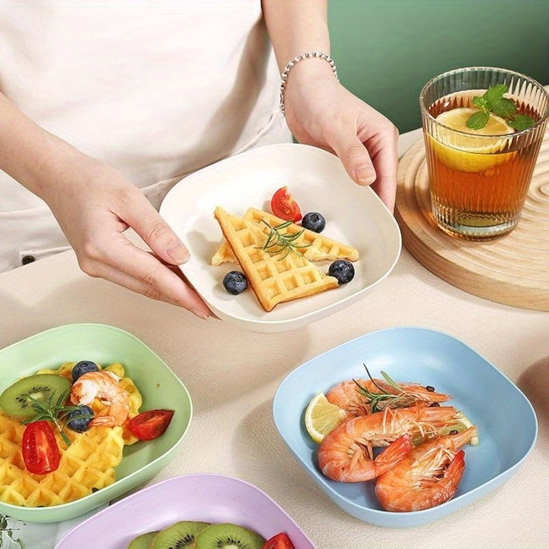 10 Square Portable Plastic Dinner Plates with 1 Holder